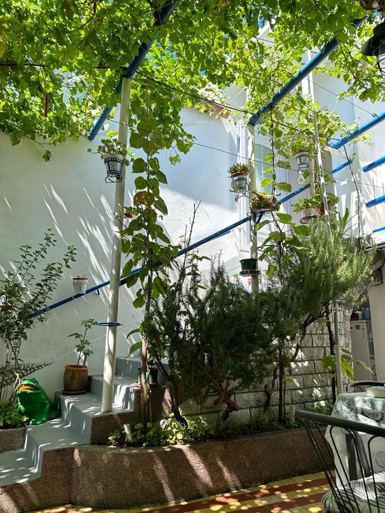Vila Katica Bribir  Exterior foto